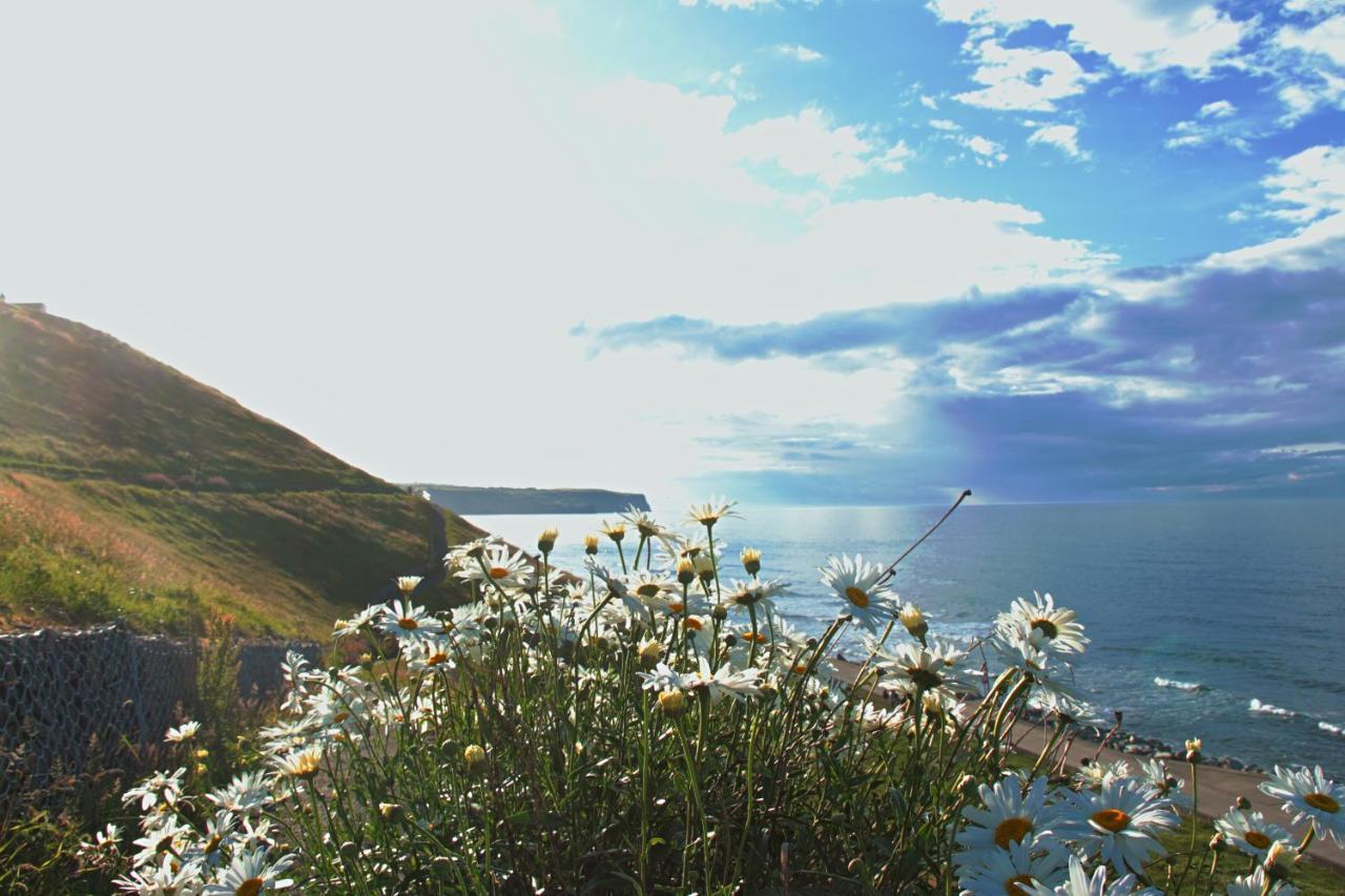 Haven Crest Hotell Whitby Exteriör bild